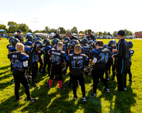 Frankfort Falcons